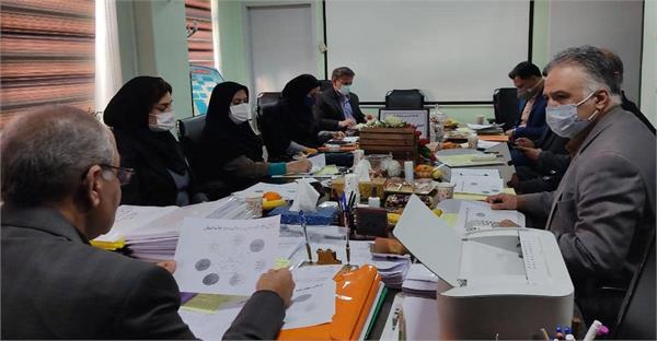 کارگاه توانمند سازی اعضای اندیشگاه سلامت استان برگزار شد