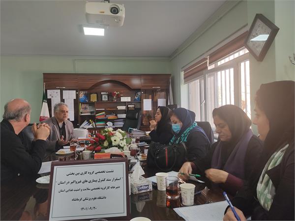 کمیته درون بخشی بیماریهای غیر واگیر استان کرمانشاه تشکیل شد